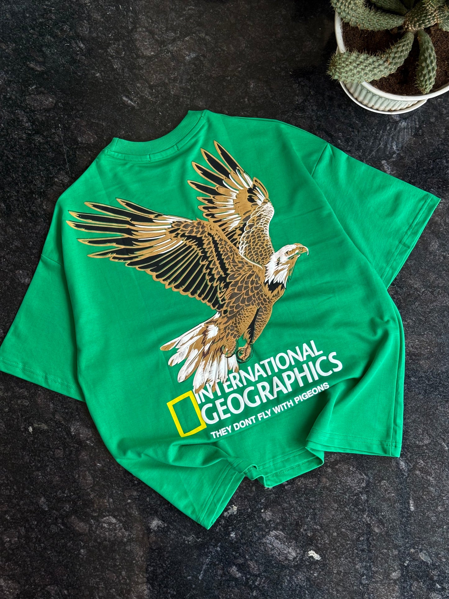 GREEN INT GEOGRAPHICS BACKPRINT TSHIRT