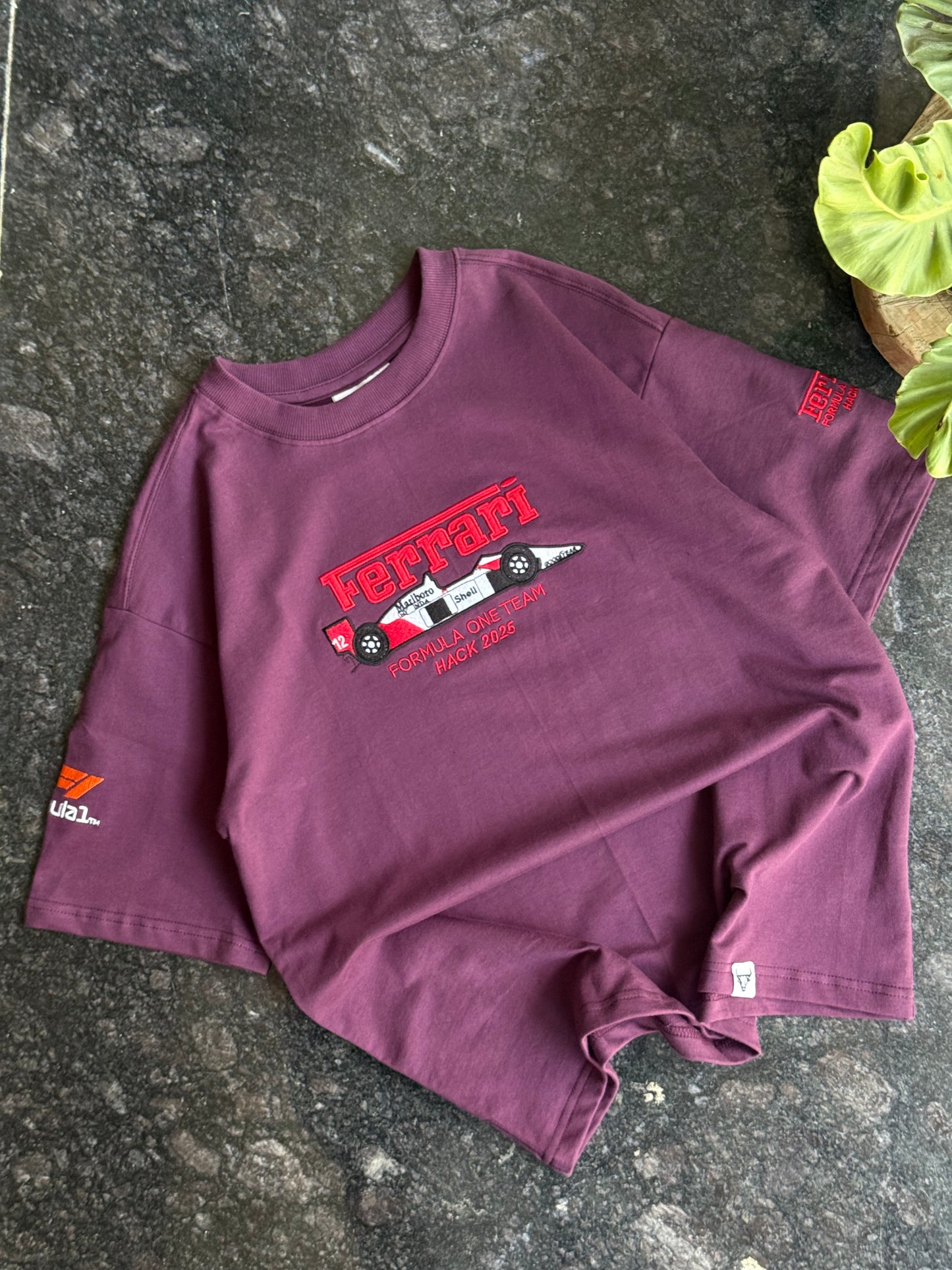 PURPLE FERRARI EMBROIDERED OVERSIZED TSHIRT