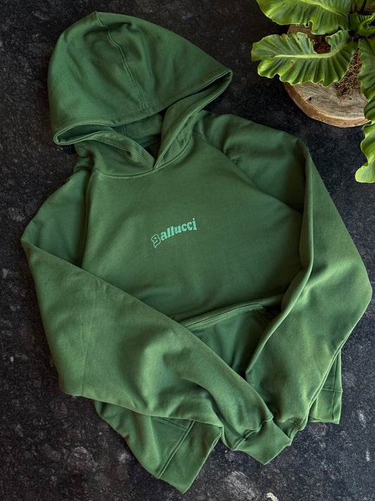 OLIVE GREEN BALLUCCI TEDDY HOODIE